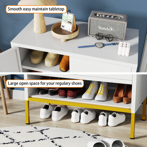 2-Door Shoes Cabinet